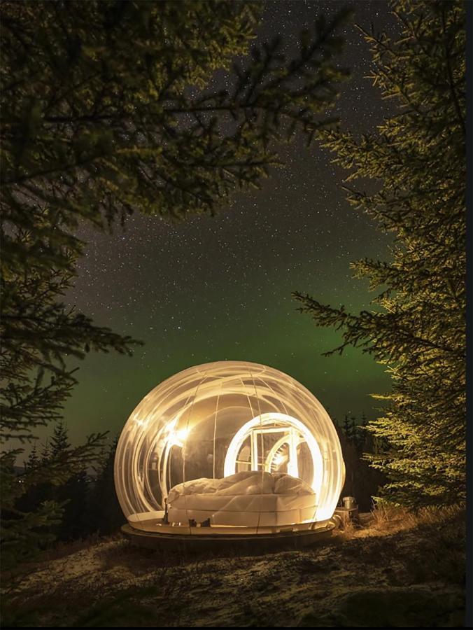 Buubble Hotel - Oelvisholt Selfoss Buitenkant foto