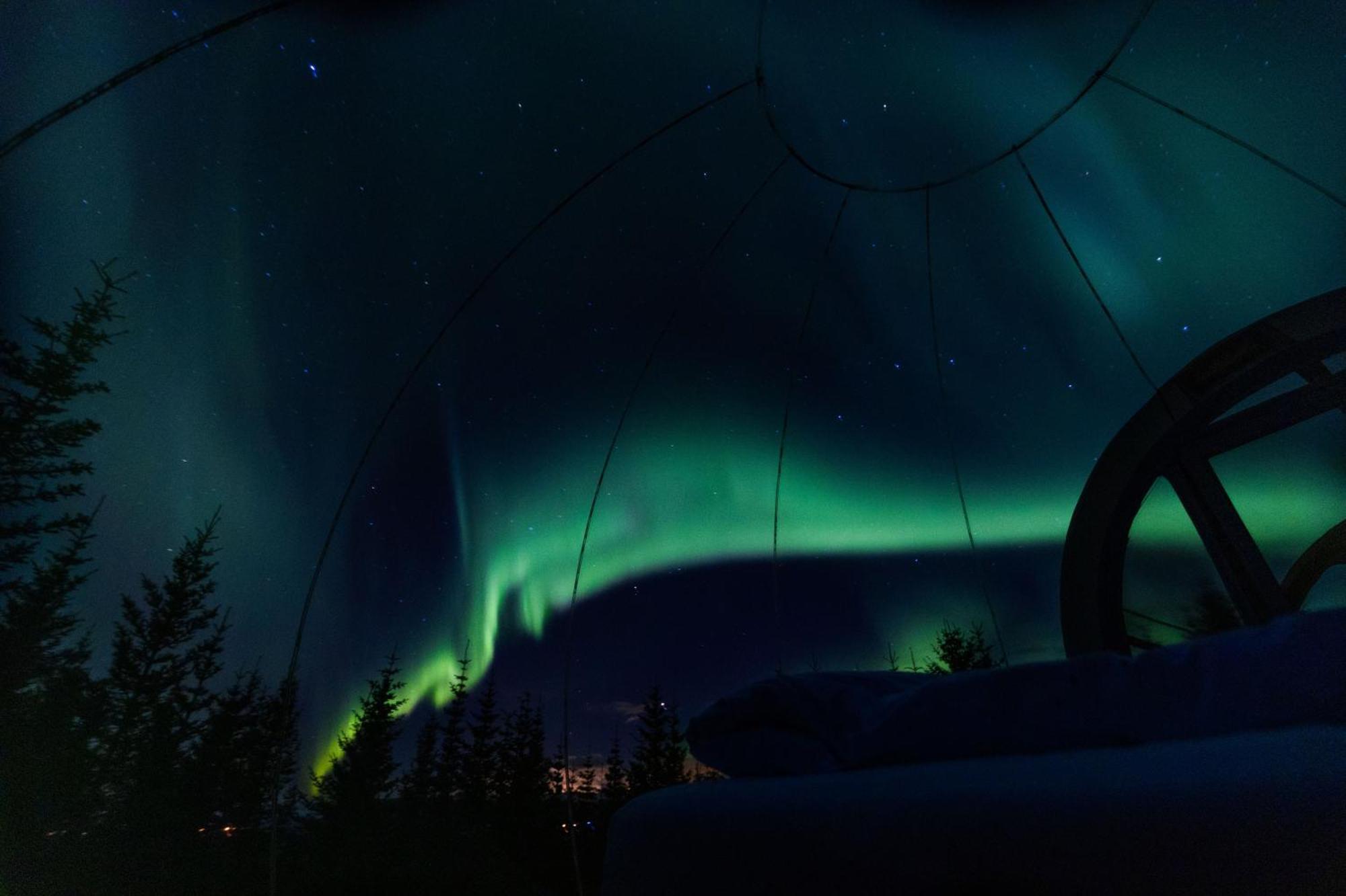 Buubble Hotel - Oelvisholt Selfoss Buitenkant foto