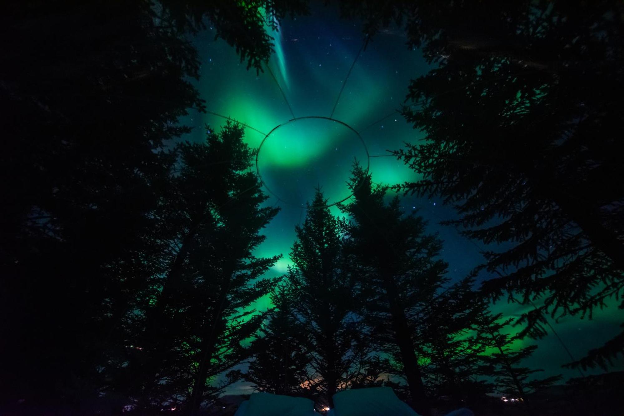 Buubble Hotel - Oelvisholt Selfoss Buitenkant foto